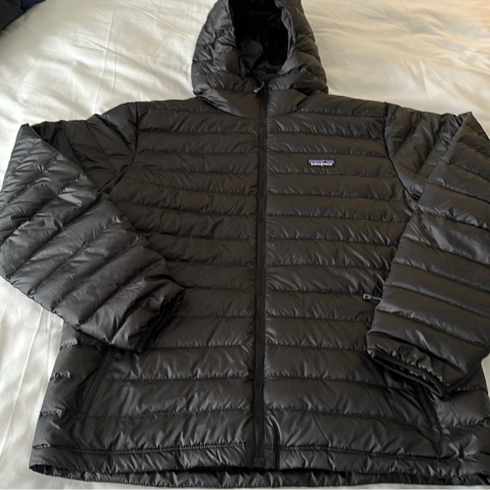 Patagonia Men's Down Sweater Hoody